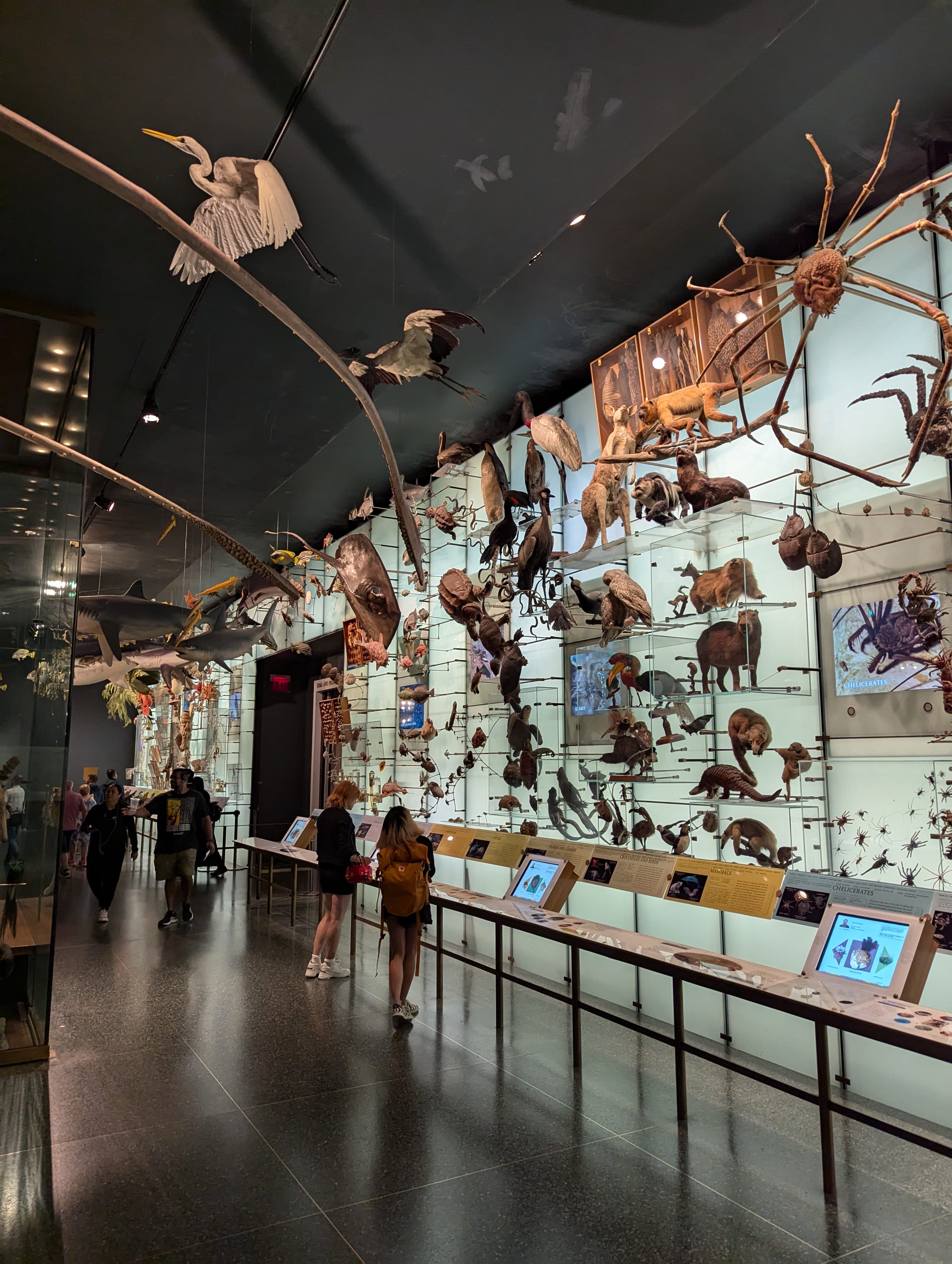 Tag 6: National Museum of Natural History 3 Tag 6: National Museum of Natural History 3