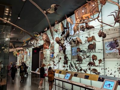 6-museum-c-min.jpg
